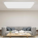 Xiaomi Mijia Ceiling lamp living room lamp standard specifications 23711