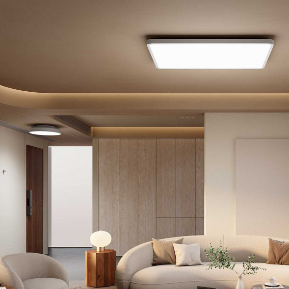 Xiaomi Mijia Ceiling lamp D20 57878