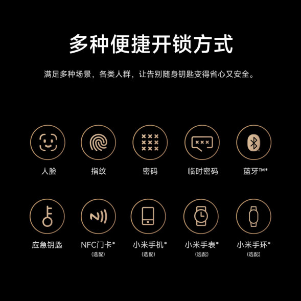 Xiaomi Smart door lock 2 face recognition version 55616