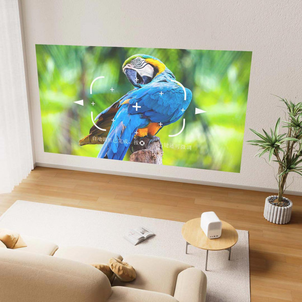 Xiaomi Projector Youth Edition 2S 43824