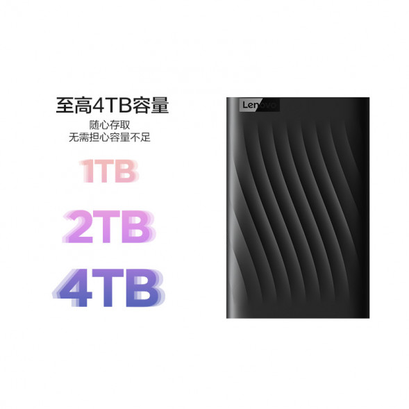 Lenovo Black/F309 Lite/2TB 888053079