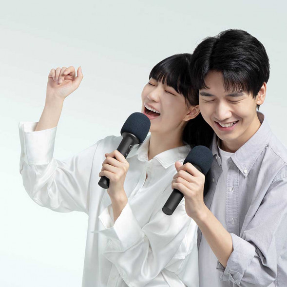 Xiaomi Mijia MIJIA Karaoke Microphone Large Screen Version Home KTV TV Microphone 1 Pack 43461