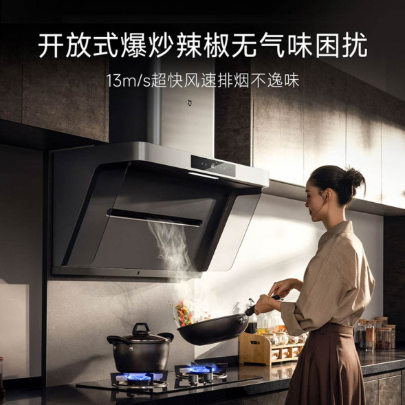 Xiaomi Mijia Intelligent smoke purifier P1 40923