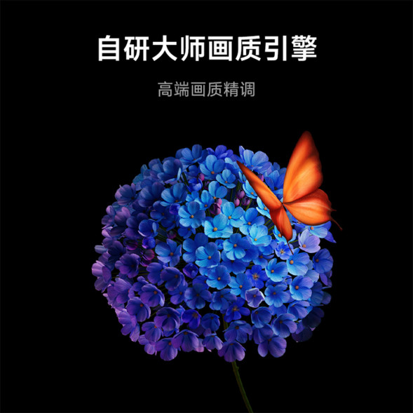 Xiaomi TV S 55 Mini LED 55-inch Energy Saving Edition 62725