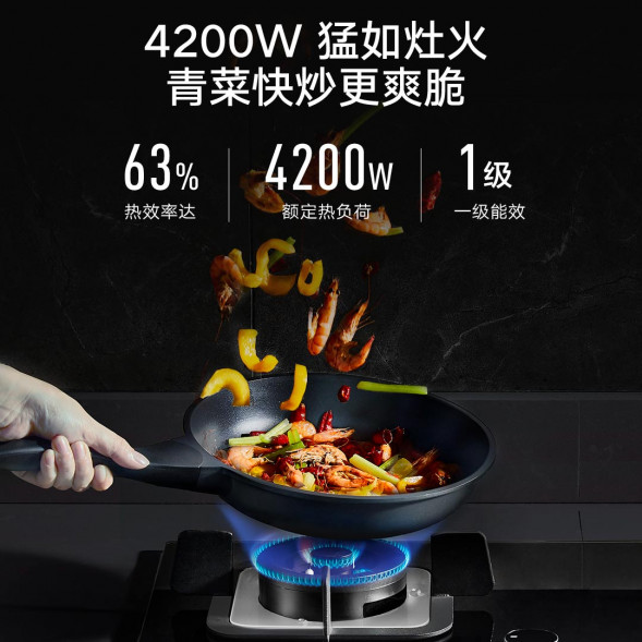 Xiaomi Mijia Internet gas stove liquefied gas 23121